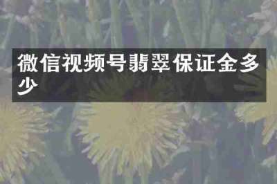 微信视频号翡翠保证金多少