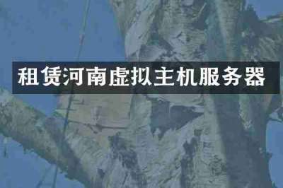 租赁河南虚拟主机服务器