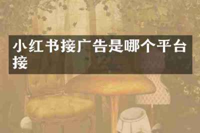 小红书接广告是哪个平台接
