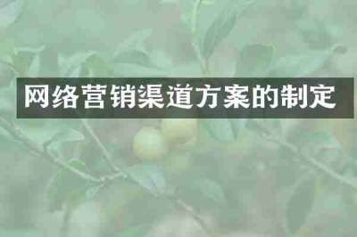 网络营销渠道方案的制定