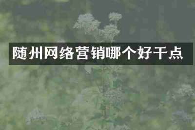 随州网络营销哪个好干点