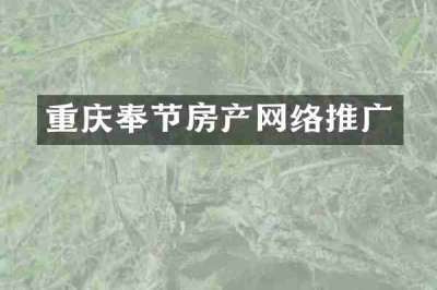 重庆奉节房产网络推广