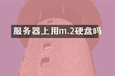 服务器上用m.2硬盘吗