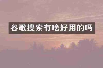 谷歌搜索有啥好用的吗