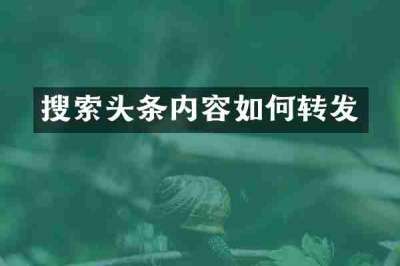 搜索头条内容如何转发