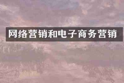 网络营销和电子商务营销
