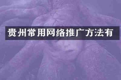 贵州常用网络推广方法有
