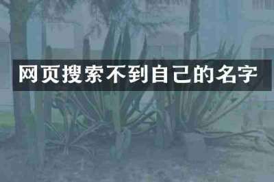 网页搜索不到自己的名字