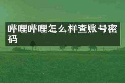 哔哩哔哩怎么样查账号密码