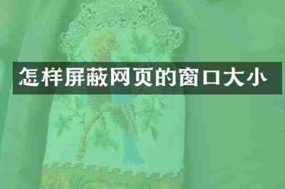 怎样屏蔽网页的窗口大小