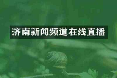 济南新闻频道在线直播