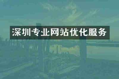 深圳专业网站优化服务