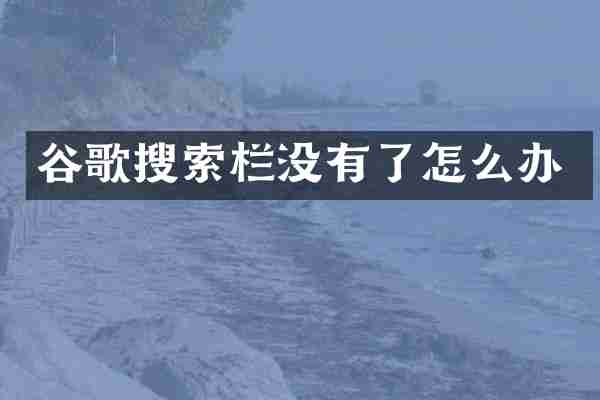 谷歌搜索栏没有了怎么办