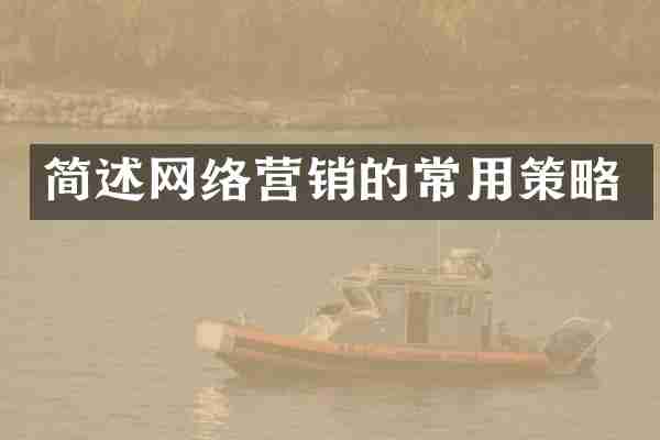 简述网络营销的常用策略