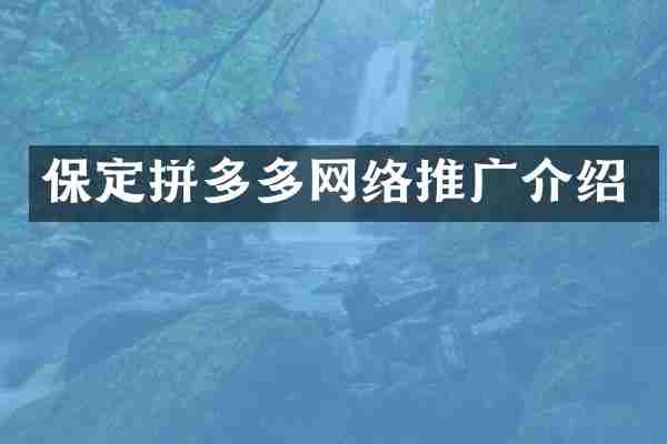 保定拼多多网络推广介绍