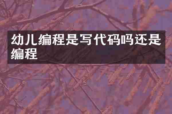 幼儿编程是写代码吗还是编程