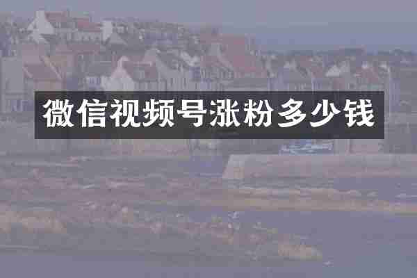 微信视频号涨粉多少钱