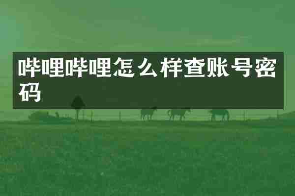 哔哩哔哩怎么样查账号密码