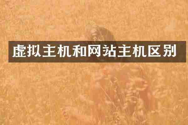 虚拟主机和网站主机区别
