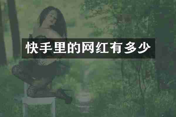 快手里的网红有多少