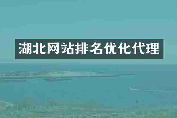 湖北网站排名优化代理