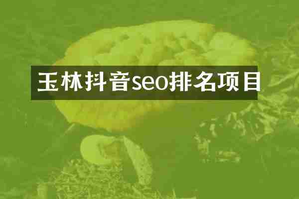 玉林抖音seo排名项目
