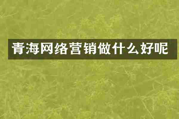 青海网络营销做什么好呢