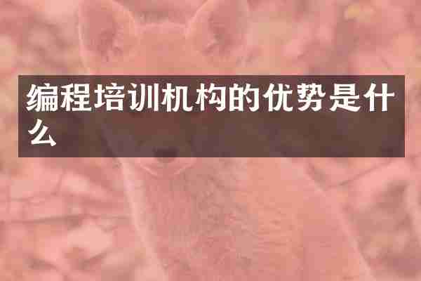 编程培训机构的优势是什么