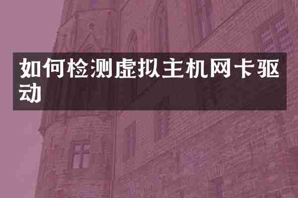 如何检测虚拟主机网卡驱动