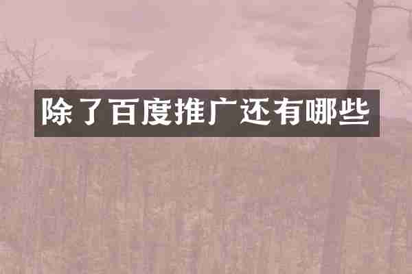 除了百度推广还有哪些