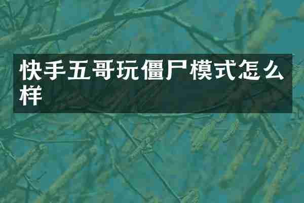 快手五哥玩僵尸模式怎么样