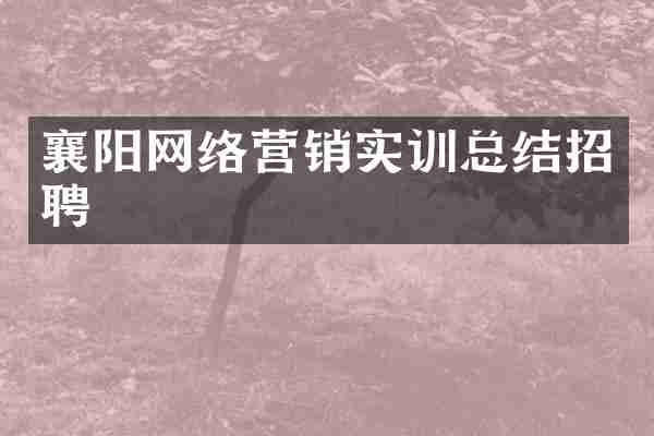 襄阳网络营销实训总结招聘