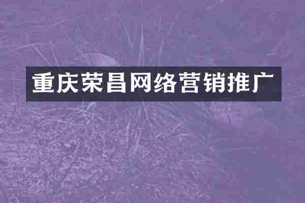 重庆荣昌网络营销推广