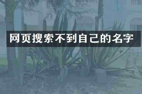 网页搜索不到自己的名字