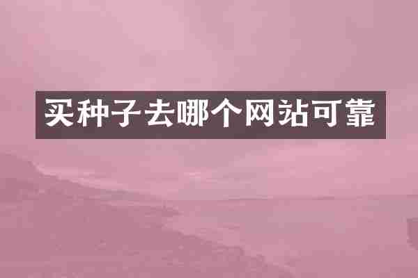 买种子去哪个网站可靠