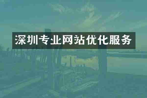 深圳专业网站优化服务