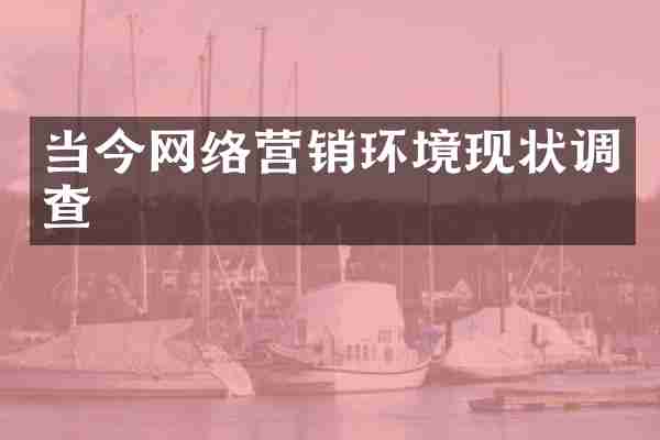 当今网络营销环境现状调查