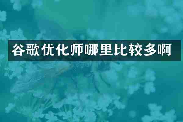 谷歌优化师哪里比较多啊