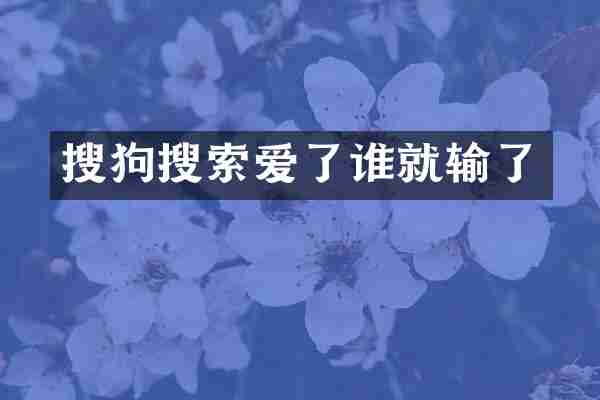 搜狗搜索爱了谁就输了