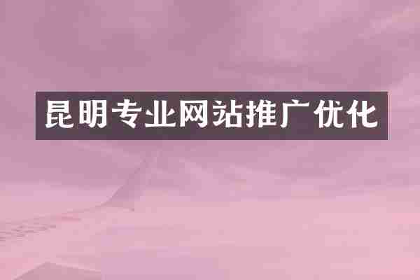 昆明专业网站推广优化