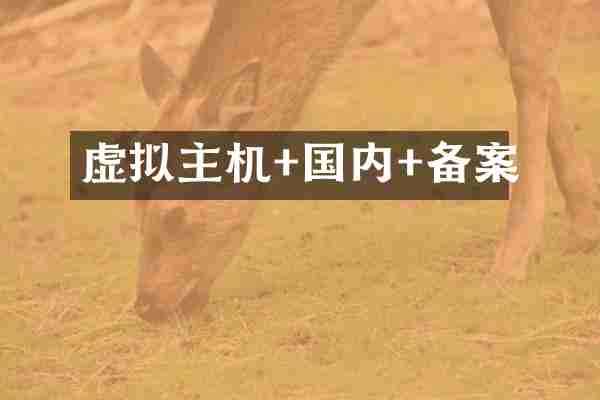 虚拟主机+国内+备案