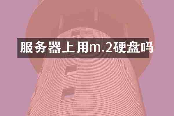 服务器上用m.2硬盘吗