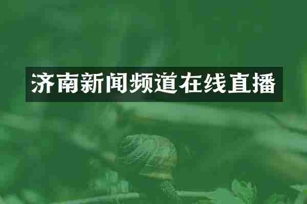 济南新闻频道在线直播