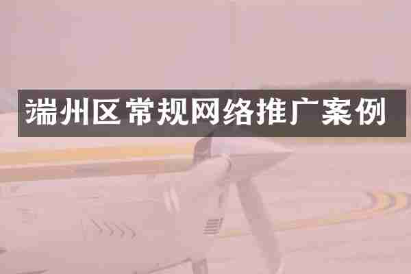 端州区常规网络推广案例