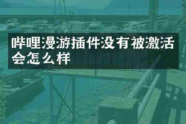 哔哩漫游插件没有被激活会怎么样