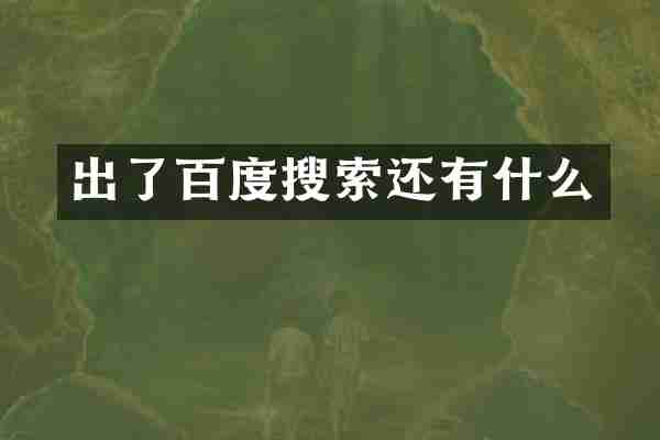 出了百度搜索还有什么