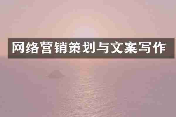 网络营销策划与文案写作
