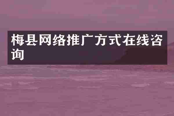 梅县网络推广方式在线咨询