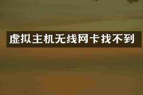 虚拟主机无线网卡找不到