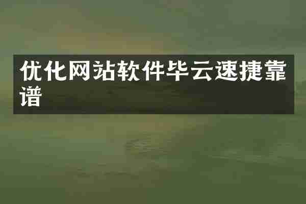 优化网站软件毕云速捷靠谱